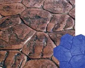 Decorative Stamp Floors