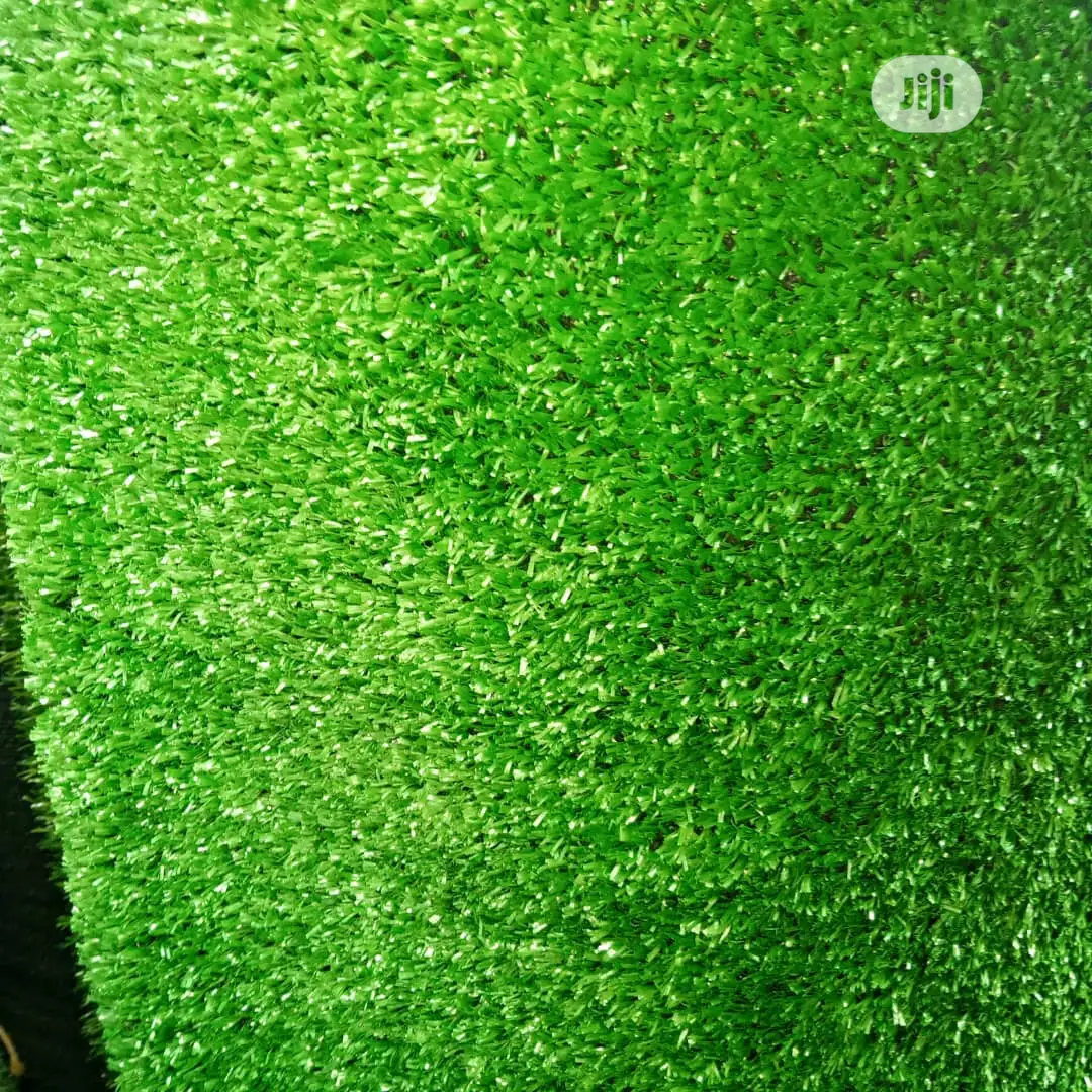 Carpet Grass in Square Meter