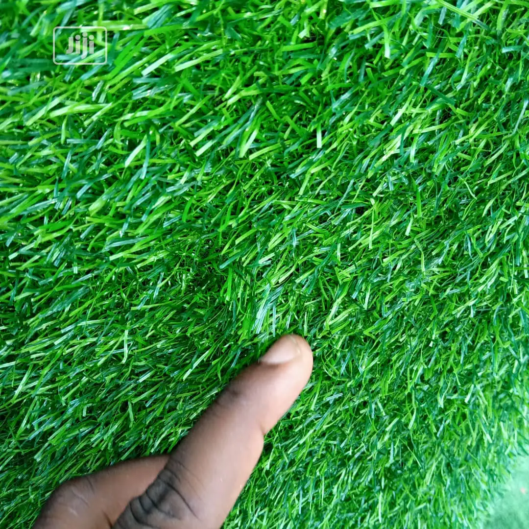 Carpet Grass Per Square Meter