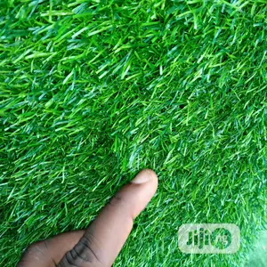 Carpet Grass Per Square Meter