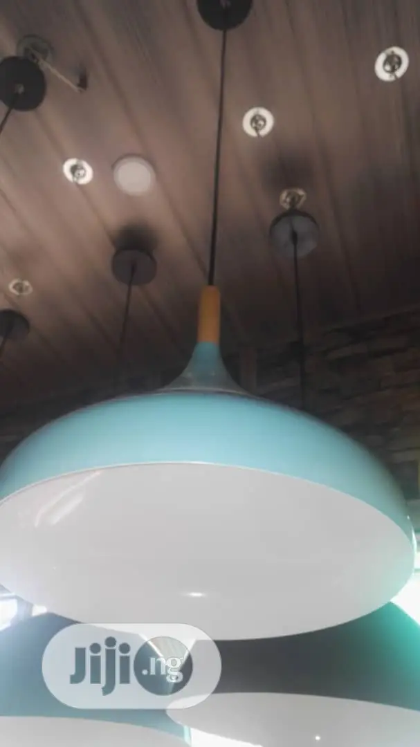 Pendant Drop Light