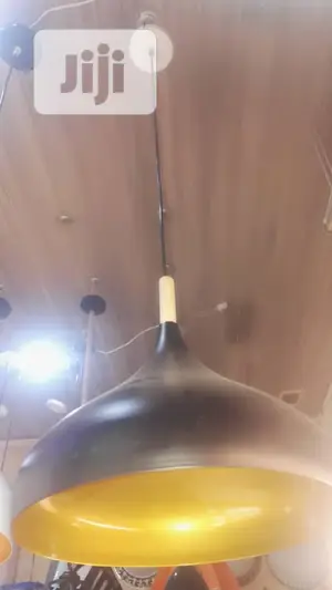 Pendant Drop Light