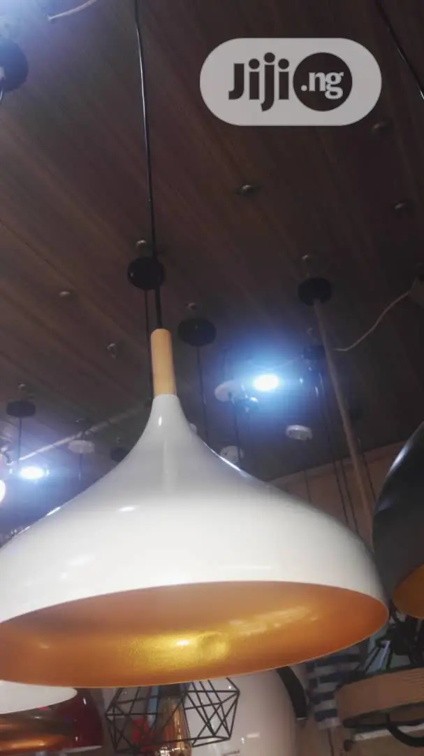 Pendant Drop Light