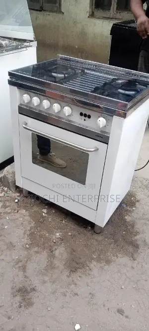 Gas Cooker With Oven. Oven