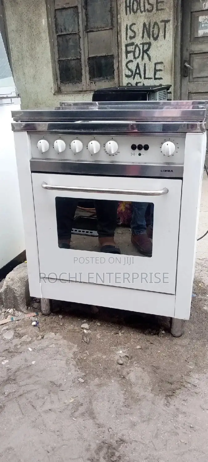 Gas Cooker With Oven. Oven