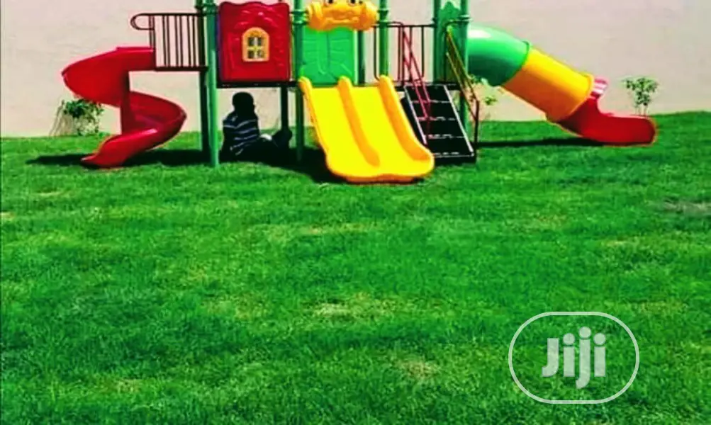 Carpet Grass Per Square Meter