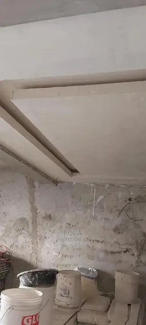 Pop Ceiling/Wall Screeding/Wall Partition