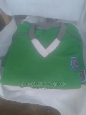 Customised Polo or Sport Wears for Schools