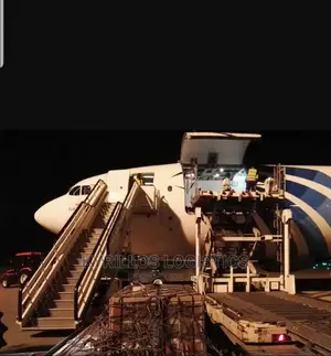 Professional Clearing Agent, Freight Services