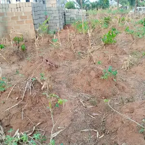 2 and Half Plots of Land at Isu Anaocha for Sale