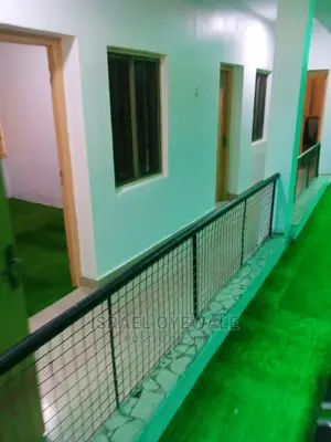 Professional House Painting