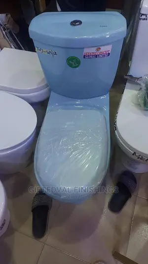Coloured Water Closet