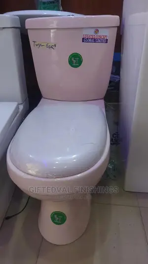 Coloured Water Closet