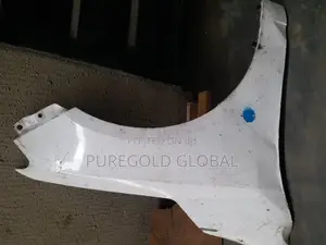 Kia Forte Fender 2009 Model