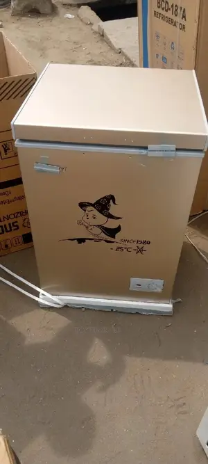150L Deep Freezer