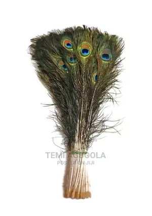 50pcs Artificial Peacock Feathers for Vase