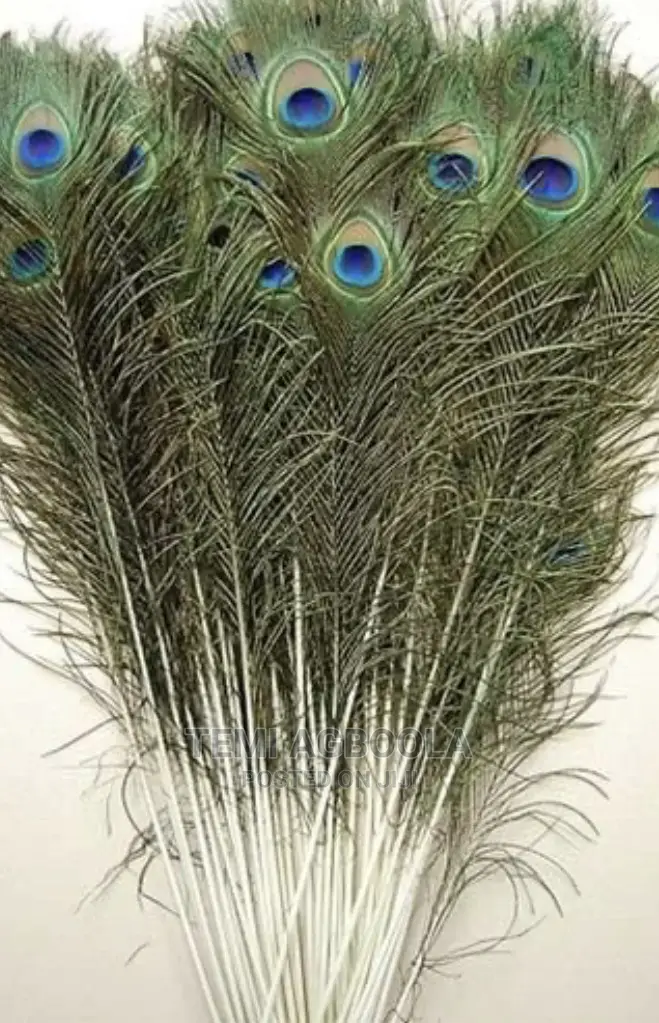 50pcs Artificial Peacock Feathers for Vase