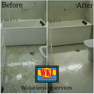Professional Cleaning Service