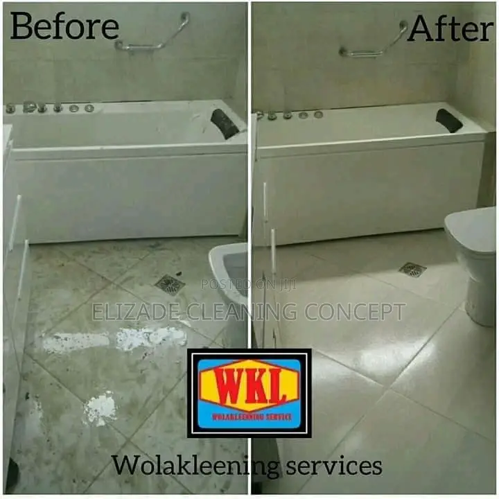 Professional Cleaning Service