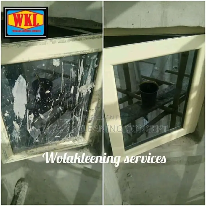 Professional Cleaning Service