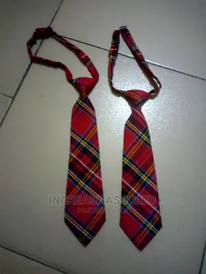 Quality Checker Made Nigeria School Tie
