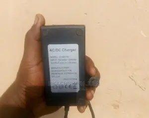 42v Scooter Charger (Hoverboard)
