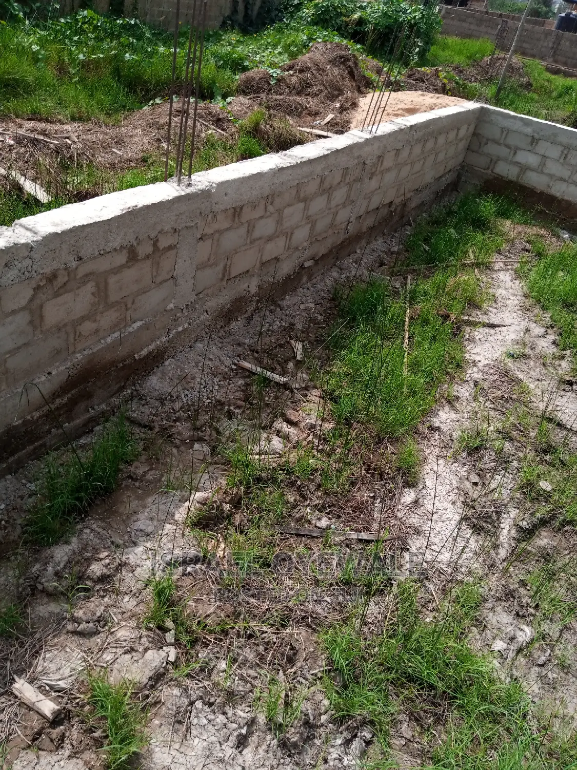 Buliding Contractor