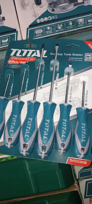 6pcs Total Screw Driver Set