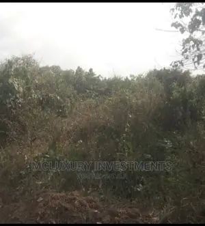Developers Delight 15 Plots of Land Together at Orchid Road
