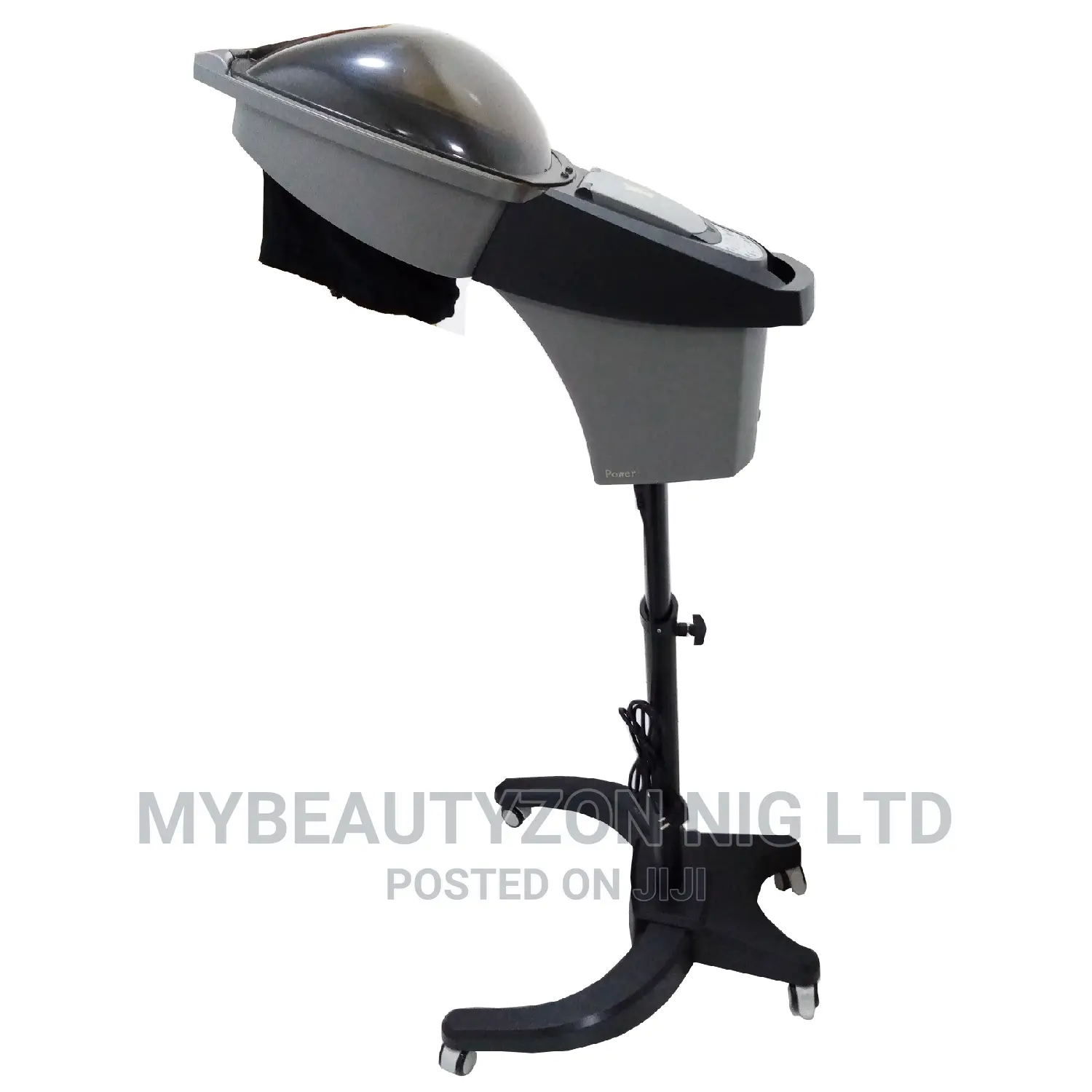 Micro Mist Standing Hair Steamer