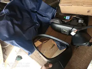 Toyota Venza 2014 Side Mirrors