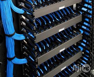 Professional Data Networking And Structure Cabling
