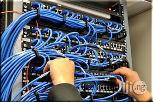 Professional Data Networking And Structure Cabling