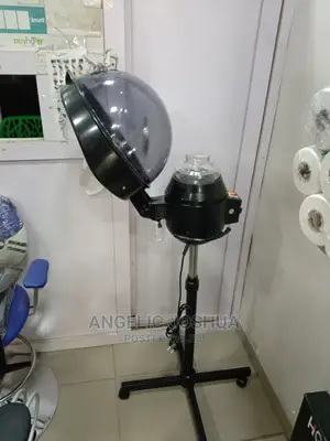 Standing Wing Steamer