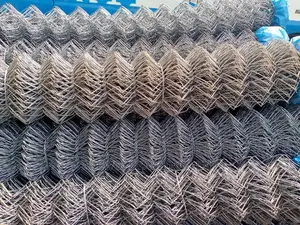 Chain Link Fen