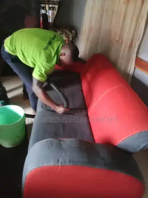 Profesional Sofa or Couch Clean