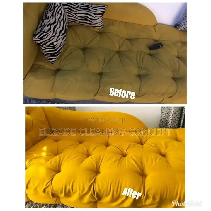 Profesional Sofa or Couch Clean