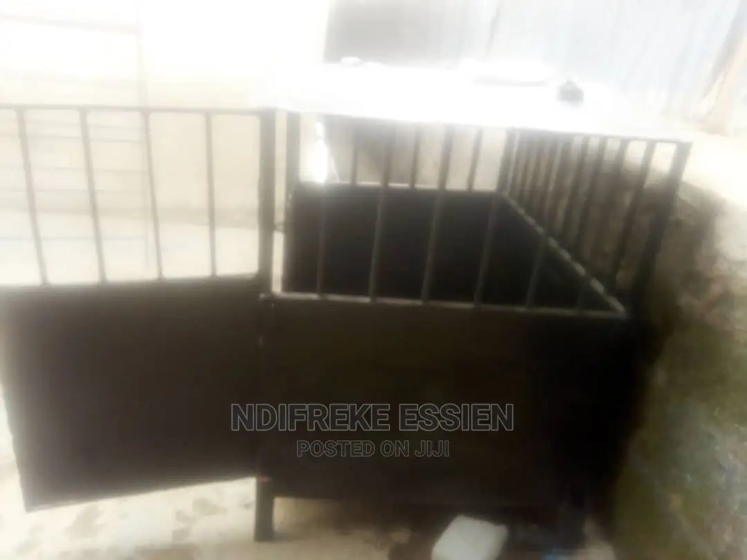 Guage for Dog