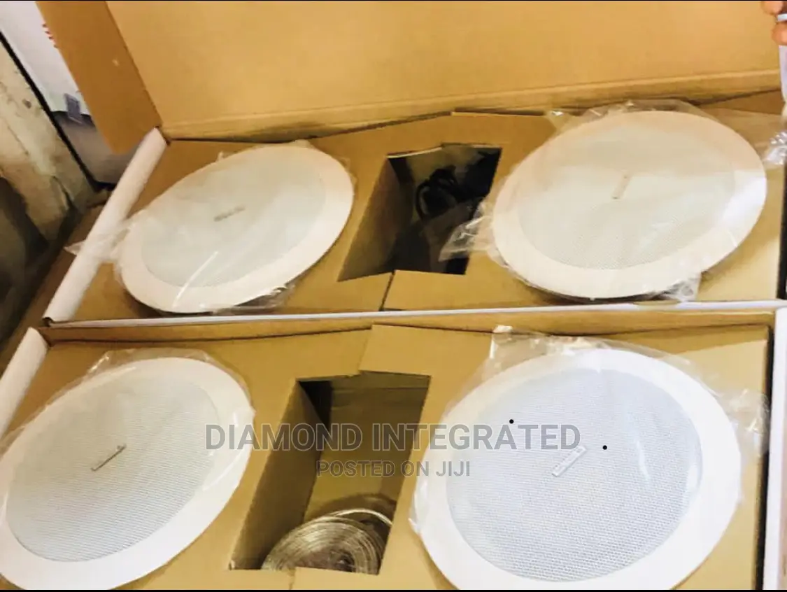4 in 1 Bluetooth Ceiling Speaker With Accessories