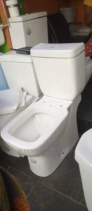 Matured England Wc With the Wash Hand Basin