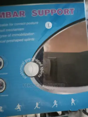 High Quality Lumbar Support