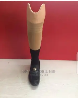 Below Knee Prosthesis (Artificial Legs )