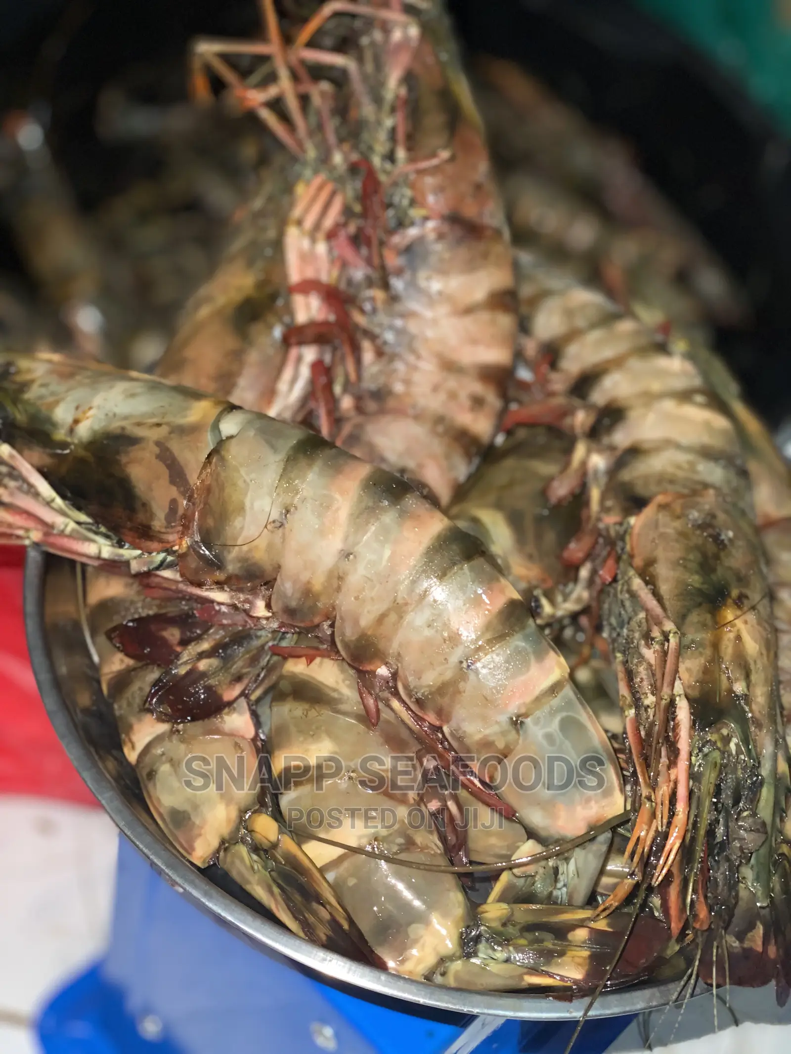 Fresh Tiger Prawns in Abuja