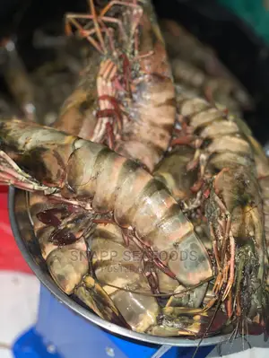 Fresh Tiger Prawns in Abuja