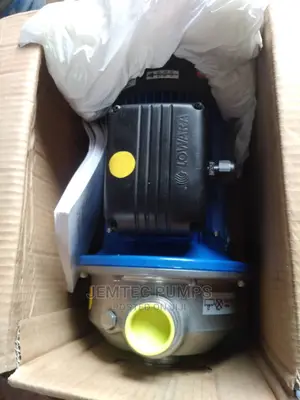 Lowara Stainless Steel Pump