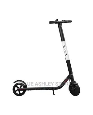 Bird ES1-300 Electric Scooter Ages 13+
