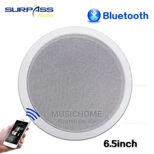 2in1 Bluetooth Ceiling Speaker