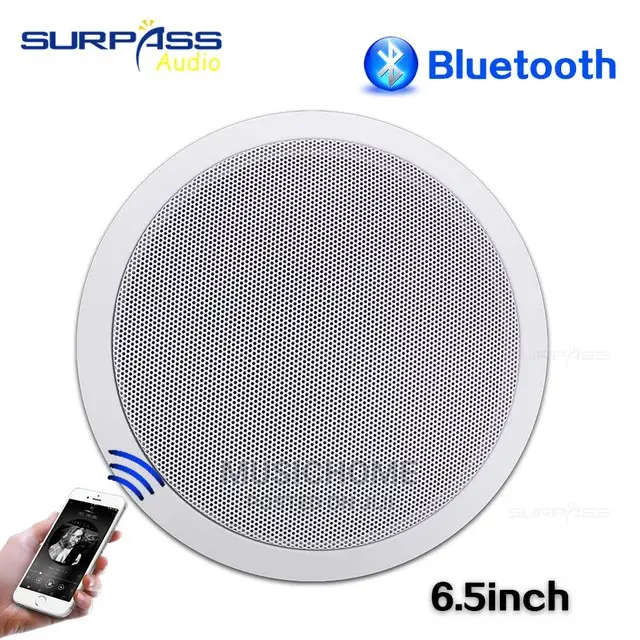 2in1 Bluetooth Ceiling Speaker