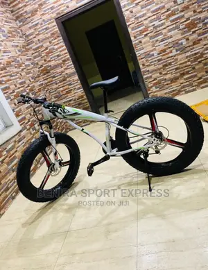 New Fat Bicycle