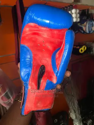 Professional Everlast Boxing Gloves